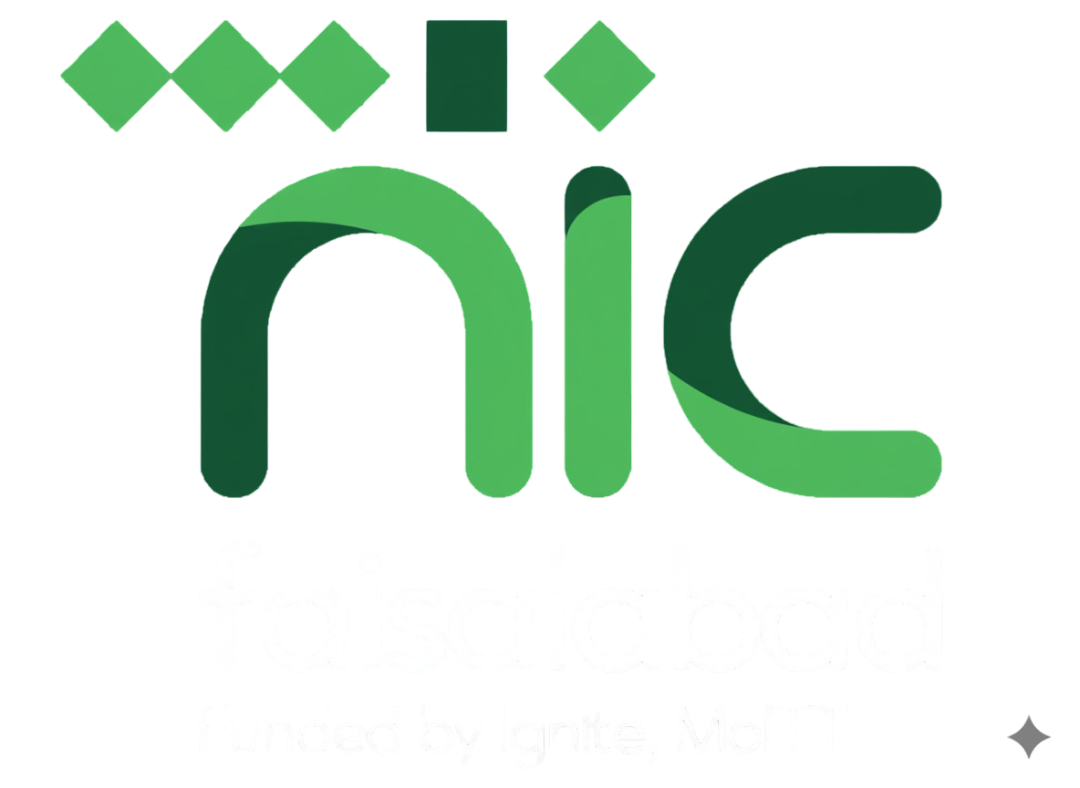 NIC Faisalabad Logo - Funded by Ignite, MoITT