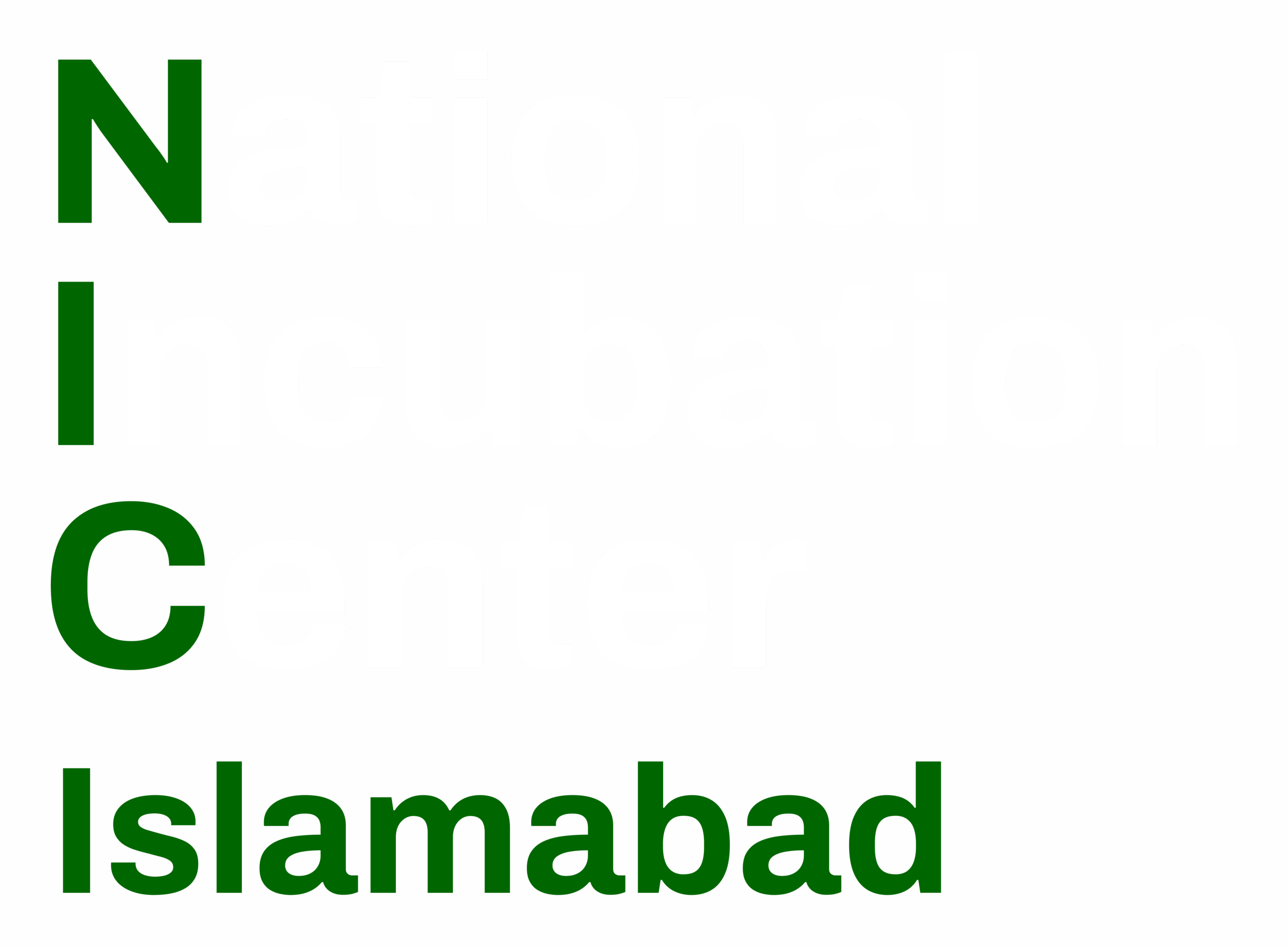 NIC Islamabad Logo